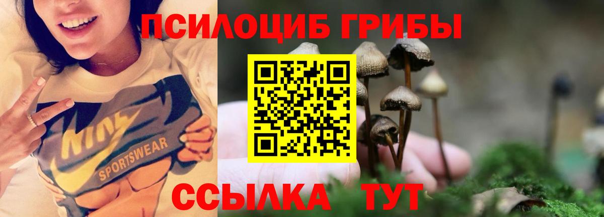 Псилоцибиновые грибы мицелий  Вход с VPN  купить наркотик  Унеча 